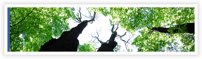 優良処理業者と 排出事業者の架け橋