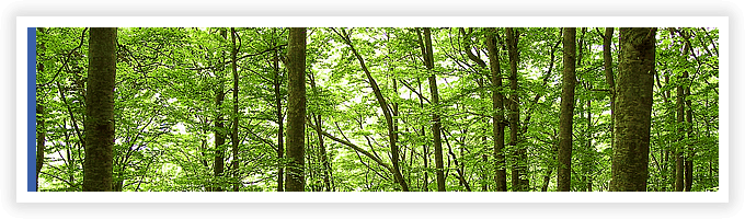 優良処理業者と 排出事業者の架け橋