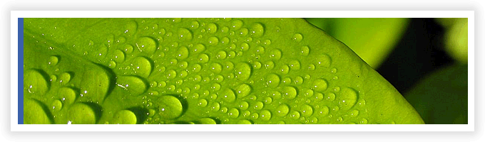 優良処理業者と 排出事業者の架け橋