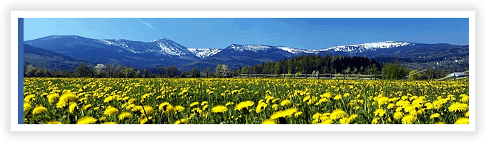 優良処理業者と 排出事業者の架け橋